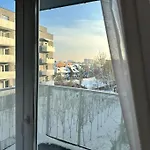 Cichy Na Skraju Parku Slaskiego *