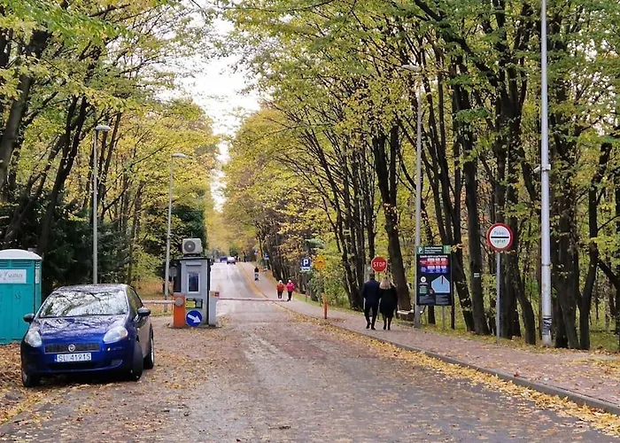 Apartament Cichy Na Skraju Parku śląskiego Katowice